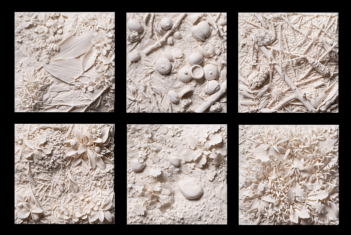 "this patch of ground"