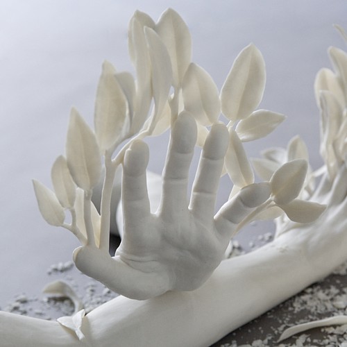 "daphne"detail