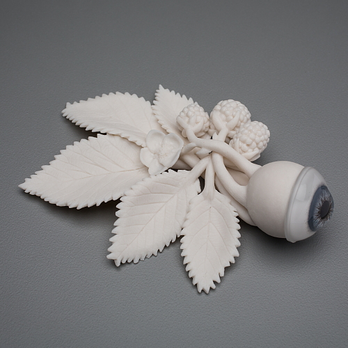 "emerson's eyeball 2"