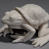 "toadturtle" top view