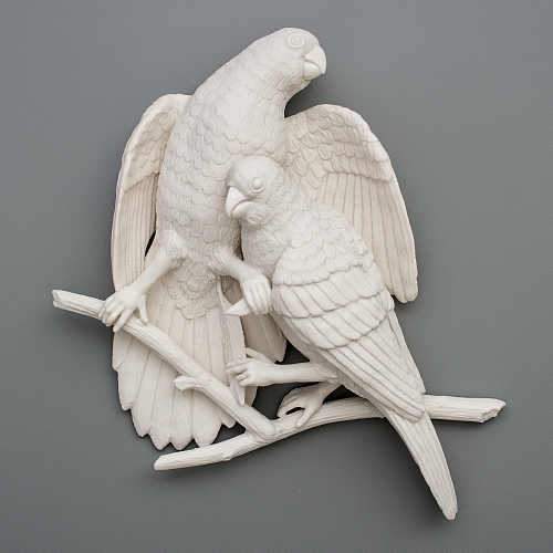 "feather trade: carolina parakeets" duo 2