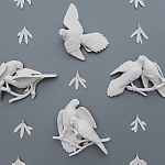 "feather trade: carolina parakeets"