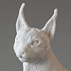 "caracal daemon"