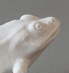 "frog daemon" top view