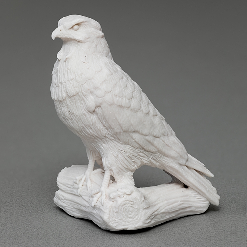 "hawk daemon"