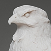 "hawk daemon"