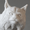 "lynx daemon"