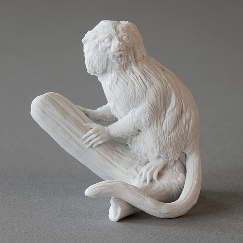 "marmoset daemon"