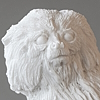 "marmoset daemon" front view