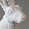 "rabbit daemon" top view