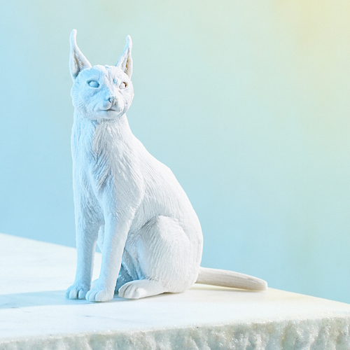 "caracal daemon"