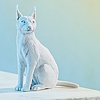 "caracal daemon" top view