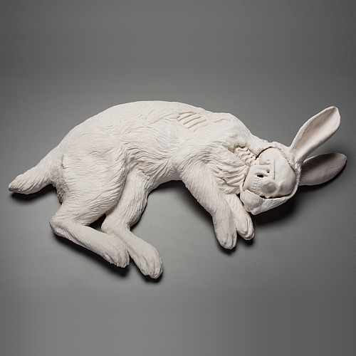 "invasive: rabbit"