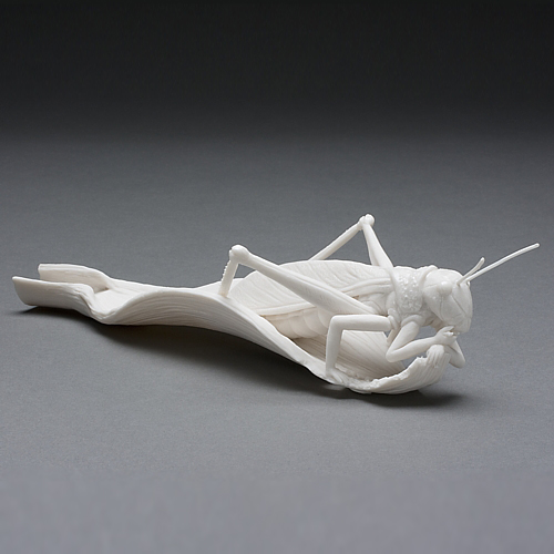 "locust 2"