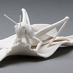 "locusts"