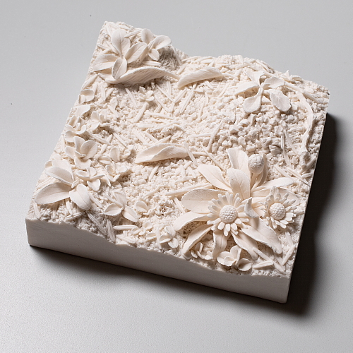 "this patch of ground: English daisy" side view