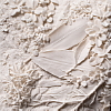 "this patch of ground: magnolia leaves"