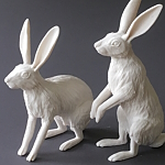 "small rabbits"