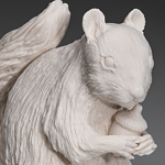 &squirrel with ring"