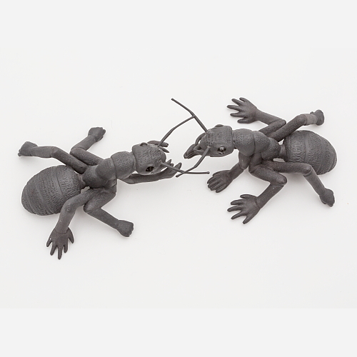 "tribe: friend" top view